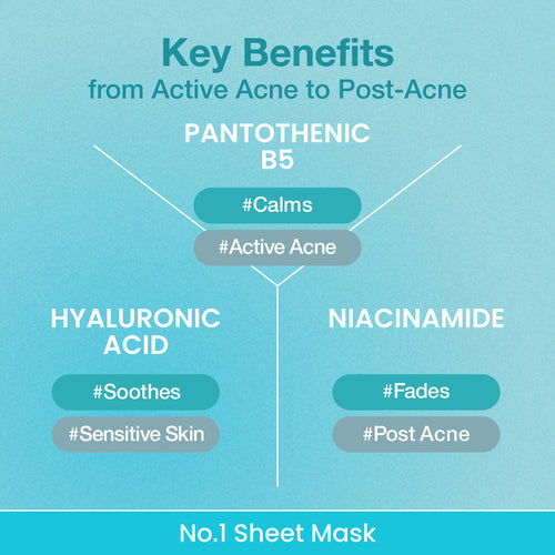 Numbuzin - No.1 Pantothenic B5 Hyaluronic Active Clear Mask 1 Sheet 26ml