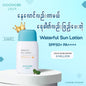 GOONGBE Crème solaire Waterful 80g