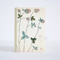 Asarum Europoum| Hand Drawn Style Notepad | Hand Drawn Plants | Journal | Blank Notebook |